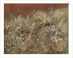Thistles, 1885-89 by John Singer Sargent