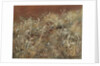 Thistles, 1885-89 by John Singer Sargent