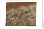 Thistles, 1885-89 by John Singer Sargent