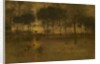 The Home of the Heron, 1893 by George Snr. Inness