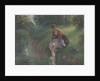 Woman Bathing Her Feet in a Brook, 1894-95 by Camille Pissarro