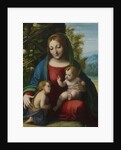 Virgin and Child with the Young Saint John the Baptist, c.1515 by (c.1489-1534) Correggio