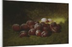 Purple Plums, 1895 by Carducius Plantagenet Ream