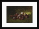 Purple Plums, 1895 by Carducius Plantagenet Ream