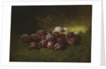 Purple Plums, 1895 by Carducius Plantagenet Ream