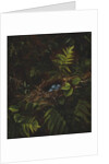 Bird's Nest and Ferns, 1863 by Fidelia Bridges