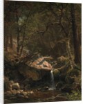 Mountain Brook, 1863 by Albert Bierstadt