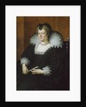 Marie de Médicis, 1616 by Frans II Pourbus