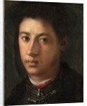 Alessandro de' Medici, 1534-35 by Jacopo Pontormo