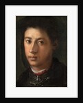 Alessandro de' Medici, 1534-35 by Jacopo Pontormo