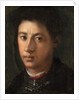 Alessandro de' Medici, 1534-35 by Jacopo Pontormo