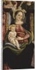 Virgin and Child enthroned with two angels holding a crown, 1505-15 by Michele (attr.to) Ciampanti
