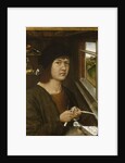 Portrait of a Young Artist, c.1500 by German School