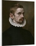 Portrait of a Man, c.1575 by Flemish School