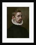 Portrait of a Man, c.1575 by Flemish School