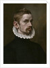 Portrait of a Man, c.1575 by Flemish School