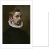 Portrait of a Man, c.1575 by Flemish School