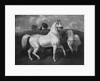 Arabian Horses, 19th century by Eugene Fromentin