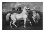 Arabian Horses, 19th century by Eugene Fromentin