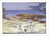 Beach at Cabasson, 1891-92 by Henri-Edmond Cross