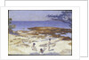 Beach at Cabasson, 1891-92 by Henri-Edmond Cross