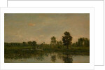The Marsh, 1871 by Charles Francois Daubigny