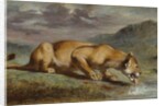 Wounded Lioness, 184050 by Pierre Andrieu
