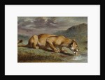 Wounded Lioness, 184050 by Pierre Andrieu
