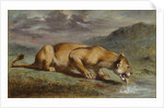 Wounded Lioness, 184050 by Pierre Andrieu