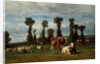 Pasture in Normandy, 1852 by Constant-Emile Troyon