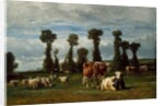 Pasture in Normandy, 1852 by Constant-Emile Troyon