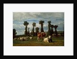 Pasture in Normandy, 1852 by Constant-Emile Troyon
