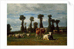 Pasture in Normandy, 1852 by Constant-Emile Troyon