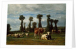 Pasture in Normandy, 1852 by Constant-Emile Troyon