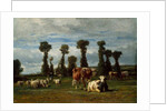 Pasture in Normandy, 1852 by Constant-Emile Troyon