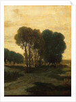 A Clump of Trees, c.1860 by Constant-Emile Troyon
