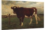 Study of a Cow, 1870-90 by Emile van Marcke de Lummen