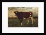 Study of a Cow, 1870-90 by Emile van Marcke de Lummen