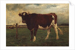Study of a Cow, 1870-90 by Emile van Marcke de Lummen