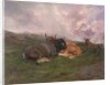 Cattle at Rest on a Hillside in the Alps, 1885 by Rosa Bonheur