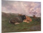 Cattle at Rest on a Hillside in the Alps, 1885 by Rosa Bonheur