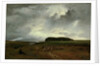 The Storm, 1876 by George Snr. Inness