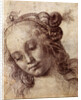 Woman Looking Down by Andrea del Verrocchio