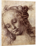 Woman Looking Down by Andrea del Verrocchio