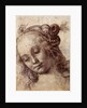 Woman Looking Down by Andrea del Verrocchio
