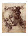 Woman Looking Down by Andrea del Verrocchio