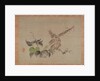 Apple and flowering plant, 1851 by Tsubaki Chinzan