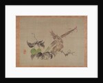 Apple and flowering plant, 1851 by Tsubaki Chinzan
