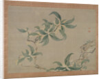 Blossom, 1851 by Tsubaki Chinzan