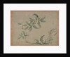 Blossom, 1851 by Tsubaki Chinzan